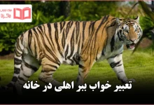 تعبیر خواب ببر اهلی در خانه