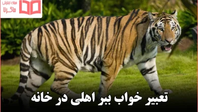 تعبیر خواب ببر اهلی در خانه