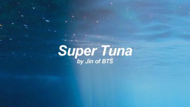 متن و ترجمه آهنگ Super Tuna از Jin عضو BTS