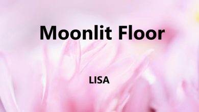 متن و ترجمه آهنگ Moonlit Floor از LISA