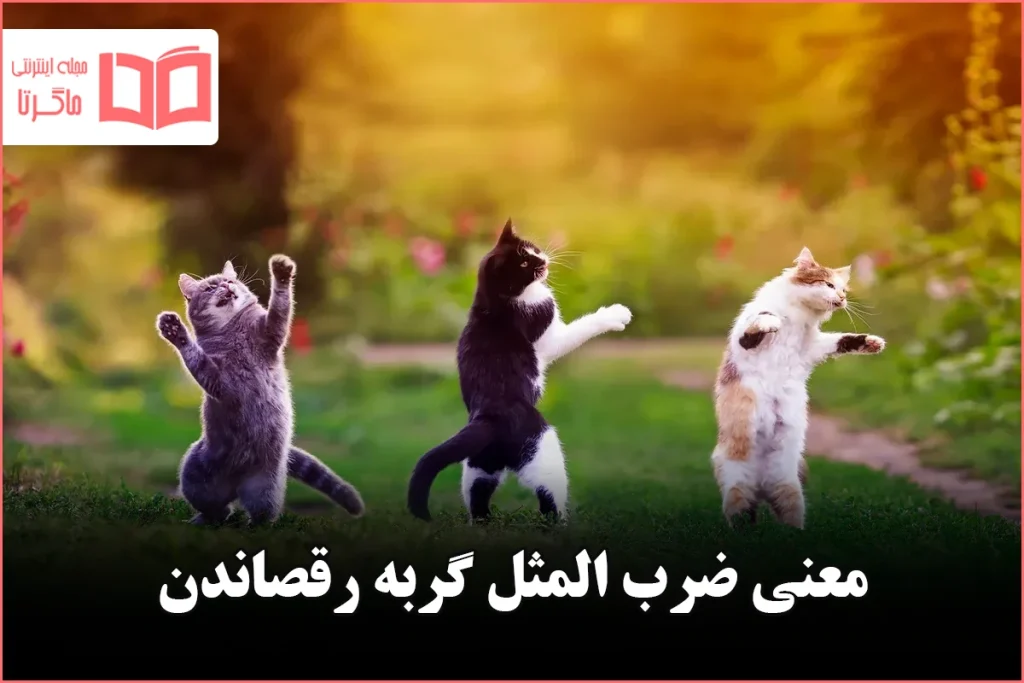 معنی ضرب المثل گربه رقصاندن