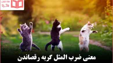 معنی ضرب المثل گربه رقصاندن