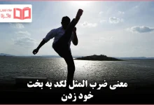 معنی ضرب المثل لگد به بخت خود زدن