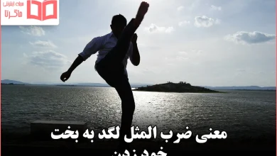 معنی ضرب المثل لگد به بخت خود زدن