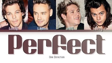 متن و ترجمه آهنگ Perfect از One Direction