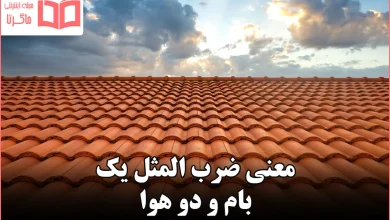 معنی ضرب المثل یک بام و دو هوا