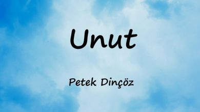 متن و ترجمه آهنگ Unut از Petek Dinçöz