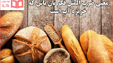 معنی ضرب المثل فکر نان باش که خربزه آب است