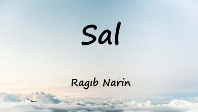 متن و ترجمه آهنگ Sal از Ragıb Narin