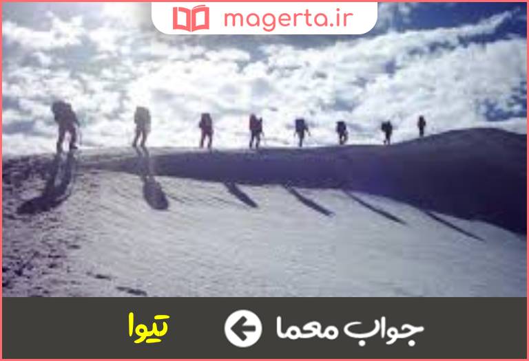 جواب معما تهور و بی باکی در جدول