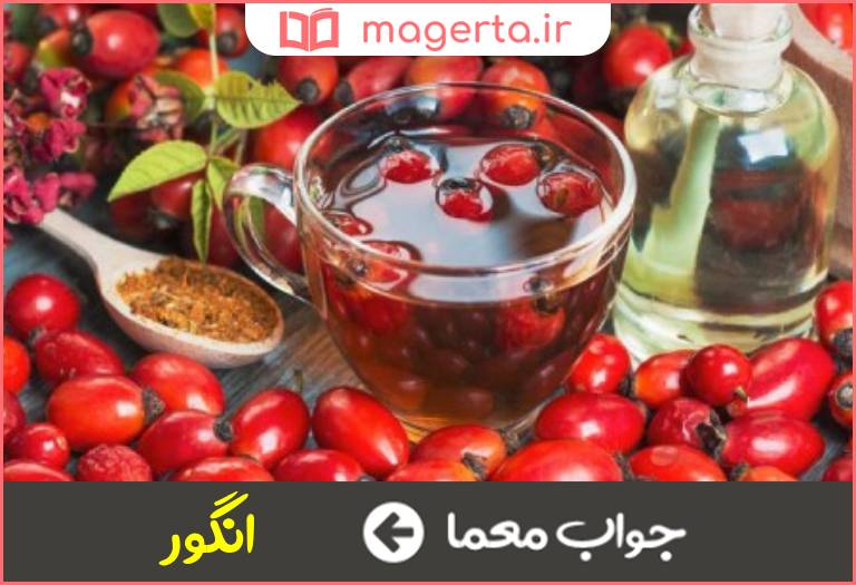 جواب معما میوه رز در جدول