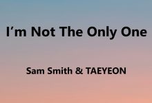 متن و ترجمه آهنگ I’m Not The Only One از TAEYEON و Sam Smith