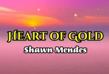 متن و ترجمه آهنگ Heart of Gold از Shawn Mendes