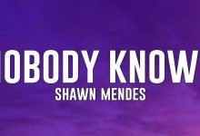 متن و ترجمه آهنگ Nobody Knows از Shawn Mendes