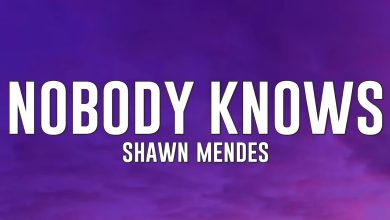 متن و ترجمه آهنگ Nobody Knows از Shawn Mendes