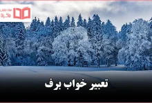 تعبیر خواب برف