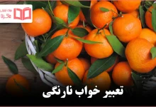 تعبیر خواب نارنگی