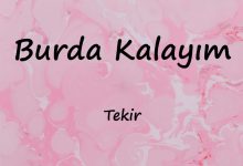 متن و ترجمه آهنگ Burda Kalayım از Tekir