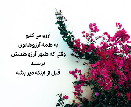 عکس نوشته زیبا درباره آرزوها
