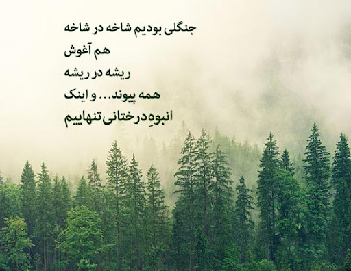 عکس نوشته زیبا در مورد آرامش و سکوت در جنگل