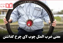 معنی ضرب المثل چوب لای چرخ گذاشتن