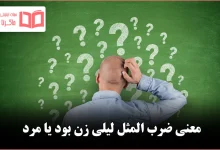 معنی ضرب المثل لیلی زن بود یا مرد