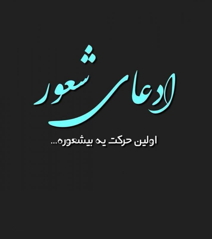 متن برای استوری درباره آدم بی منطق و بی شعور