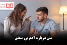 متن درباره آدم بی منطق