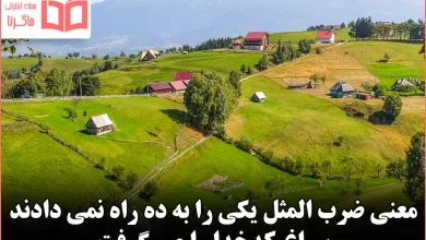 معنی ضرب المثل یکی را به ده راه نمی دادند سراغ کدخدا را می گرفت