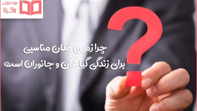 چرا زمین مکان مناسبی برای زندگی گیاهان و جانوران است