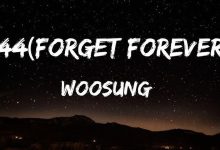 متن و ترجمه آهنگ 44 (Forget Forever) از WOOSUNG (The Rose)