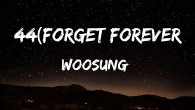 متن و ترجمه آهنگ 44 (Forget Forever) از WOOSUNG (The Rose)