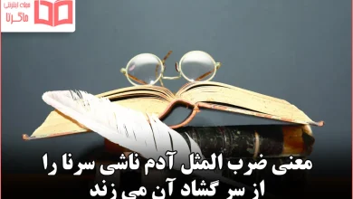 معنی ضرب المثل آدم ناشی سرنا را از سر گشاد آن می زند