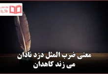 معنی ضرب المثل دزد نادان می زند کاهدان