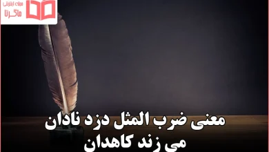 معنی ضرب المثل دزد نادان می زند کاهدان