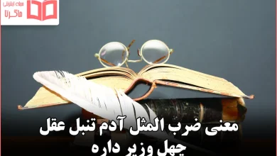 معنی ضرب المثل آدم تنبل عقل چهل وزیر داره