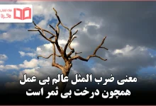 معنی ضرب المثل عالم بی عمل همچون درخت بی ثمر است