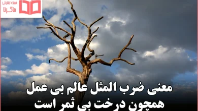 معنی ضرب المثل عالم بی عمل همچون درخت بی ثمر است