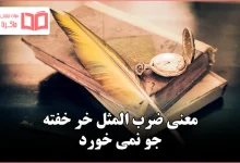 معنی ضرب المثل خر خفته جو نمی خورد