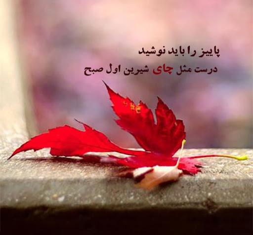 عکس متن دار احساسی و خاص چای نوشیدن در پاییز