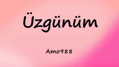 متن و ترجمه آهنگ Üzgünüm از Amo988
