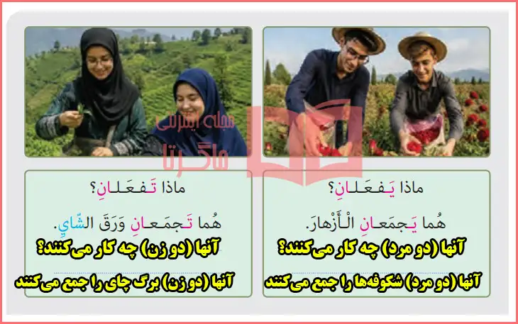 ترجمه متن بخش فعل مضارع درس نهم صفحه ۱۱۳ عربی هشتم