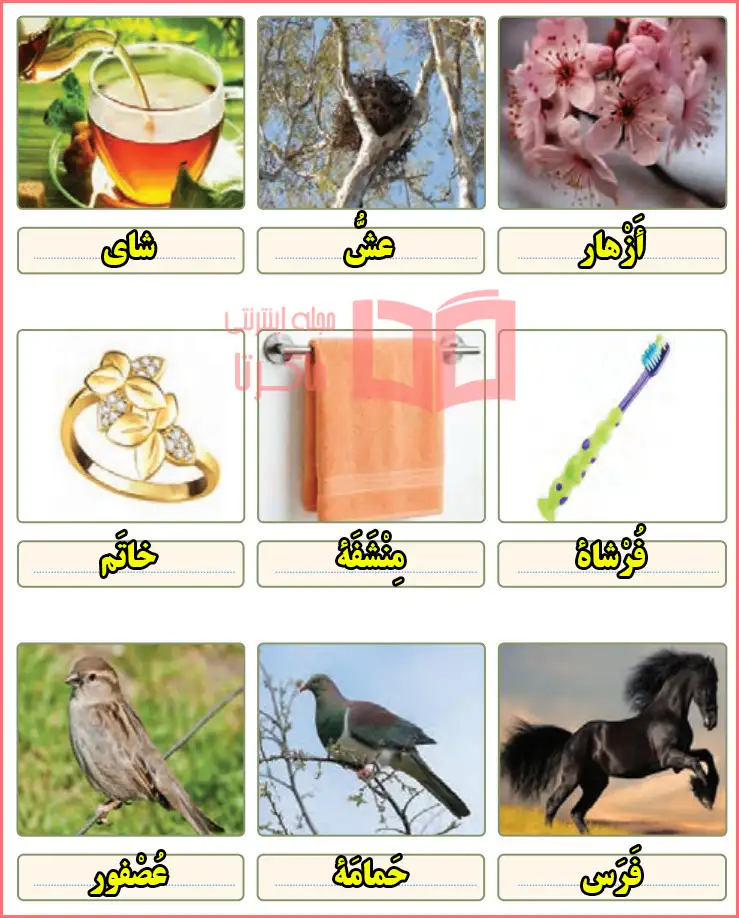 جواب تمرین ششم درس نهم صفحه ۱۱۹ عربی هشتم