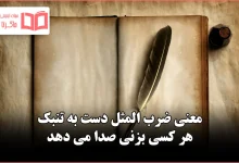 معنی ضرب المثل دست به تنبک هر کسی بزنی صدا می دهد