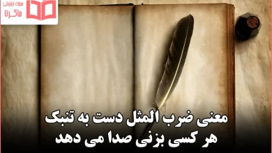 معنی ضرب المثل دست به تنبک هر کسی بزنی صدا می دهد