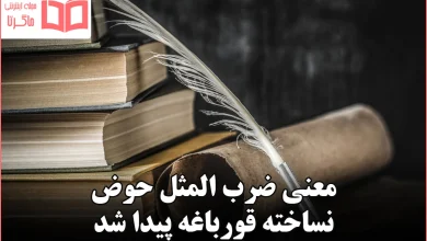 معنی ضرب المثل حوض نساخته قورباغه پیدا شد