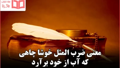 معنی ضرب المثل خوشا چاهی که آب از خود برآرد