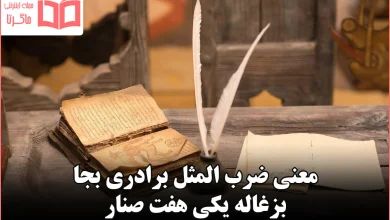 معنی ضرب المثل برادری بجا بزغاله یکی هفت صنار