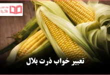 تعبیر خواب ذرت بلال