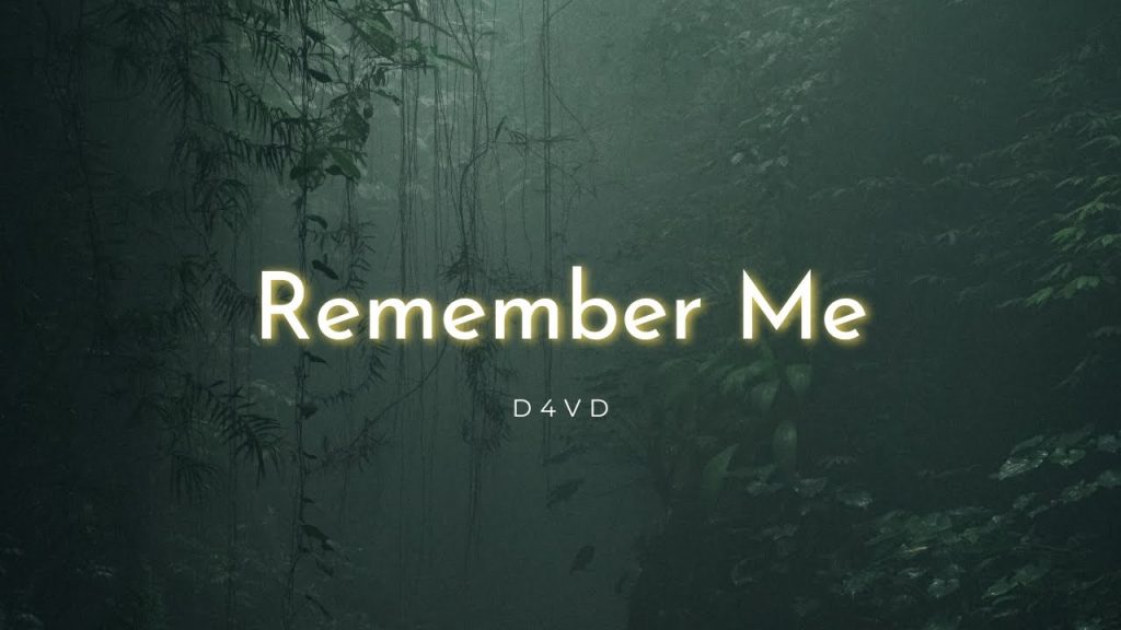 متن و ترجمه آهنگ Remember Me از d4vd